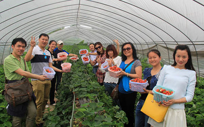 “竹海”牌草莓获国家级无公害农产品证书