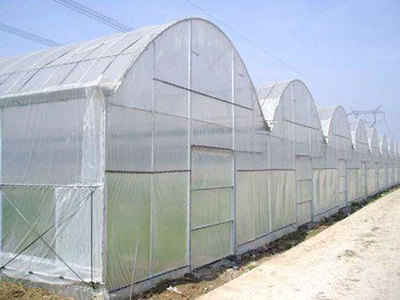 阳光房供应商哪家比较好_优质新型阳光温室(阳光房,新型阳光)--山东富尔农业科技发展