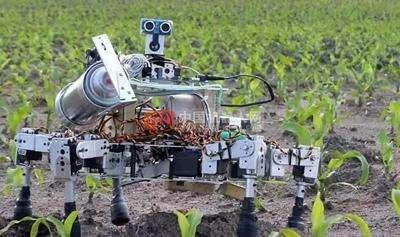 智能化农业,是人工智能技术对农业生产进行重塑的硕果!